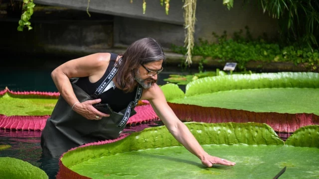 El mesías de las plantas: "La fascinación de un niño que mira una alberca puede acabar en el descubrimiento de una especie"