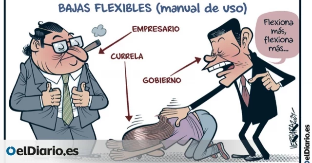 Bajas flexibles