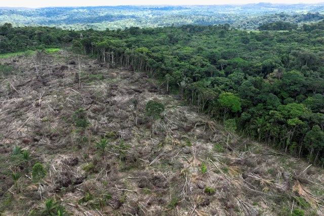 Banco Santander y BBVA, señaladas por financiar con 15.000 millones a empresas que deforestan la Amazonia brasileña