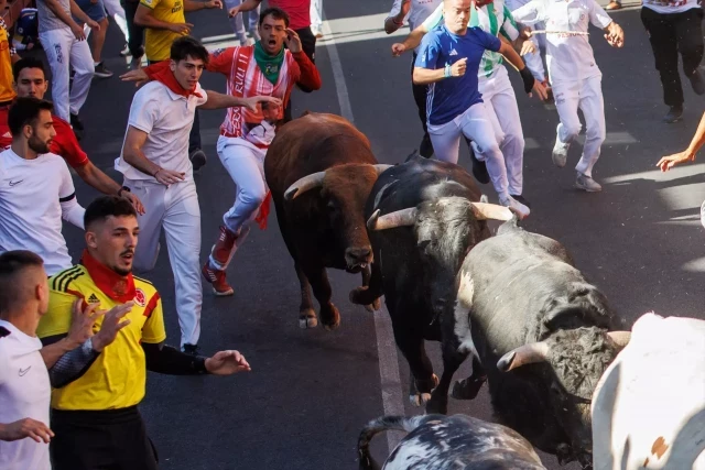 El Ayuntamiento de San Sebastián de los Reyes, gobernado por el PP, destina a los toros parte del presupuesto de Educación