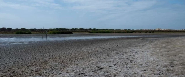 Doñana pierde su última laguna permanente al secarse por tercer año consecutivo por la sequía y la sobreexplotación del acuífero