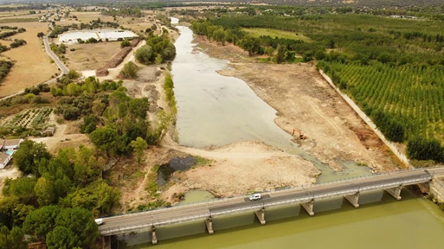 Un gran bosque de ribera en el río Alberche ha sido destruido