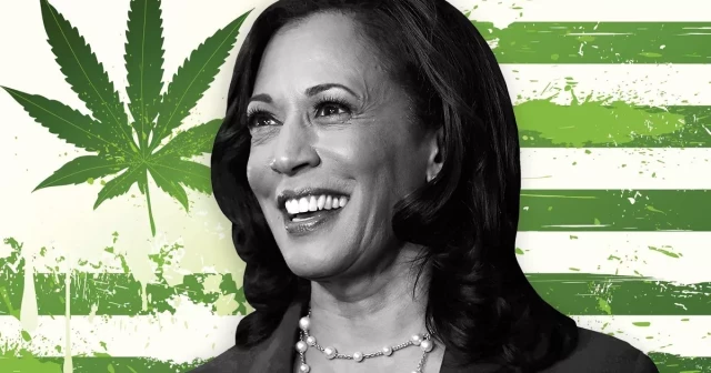 Kamala Harris anuncia un plan para legalizar el cannabis a nivel nacional