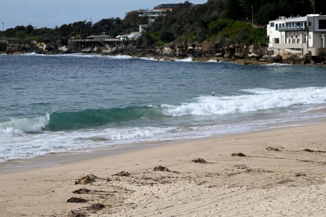 Cierran dos playas de Sídney al aparecer misteriosas bolas negras