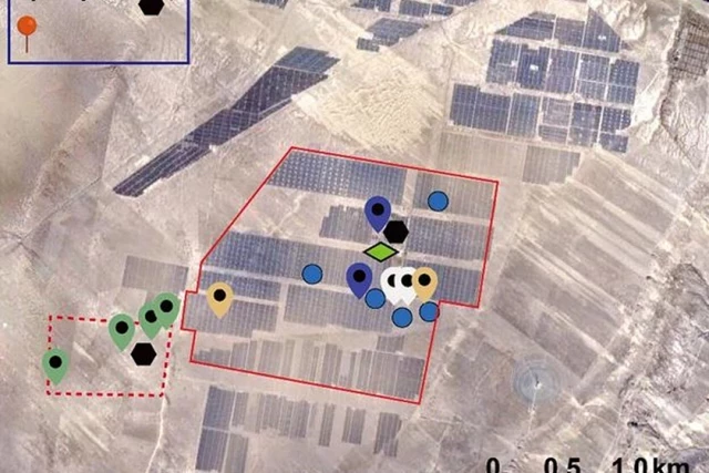 China ha confirmado que cubrir un desierto de paneles solares cambia el ecosistema