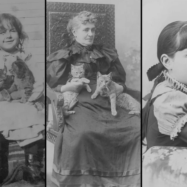 Adorables fotografías de personas y sus gatos de hace más de 110 años [ENG]