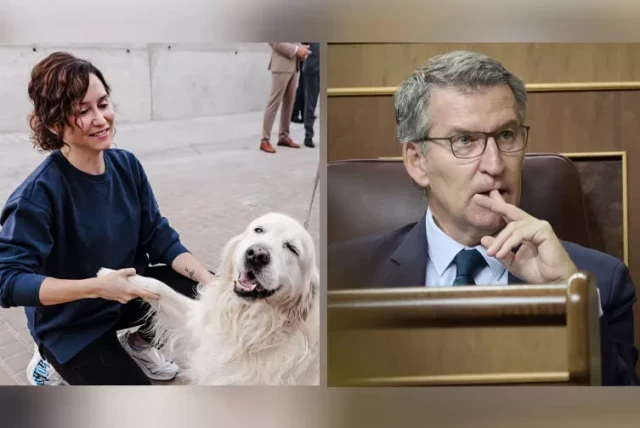 Ayuso ningunea las palabras de Feijóo sobre no ir a La Moncloa y los tuiteros lo resumen: "Te quedan un par de días, Alberto, mucho ánimo"