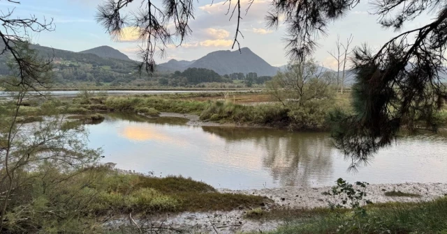 Greenpeace demanda al Gobierno por modificar la Ley de Costas para la construcción de un nuevo Guggenheim en plena Reserva de la Biosfera de Urdaibai