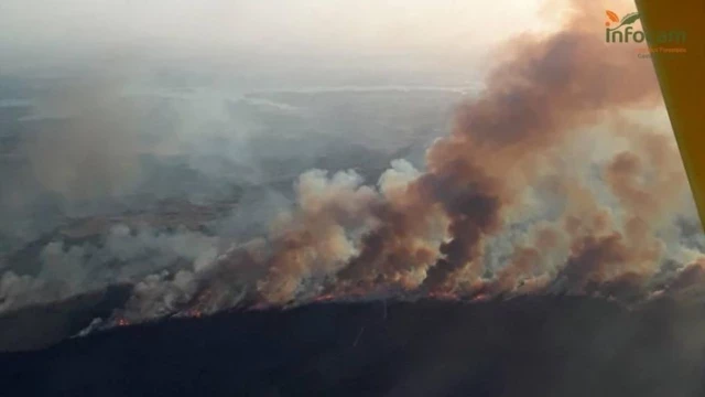 La Guardia Civil y Agentes Medioambientales, esclarecen el mayor incendio forestal de los últimos cinco años