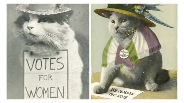 Cómo los memes de gatos se volvieron virales hace 100 años [ENG]