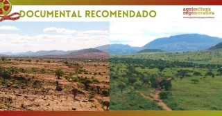 más visitadas