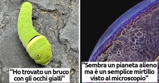 más visitadas