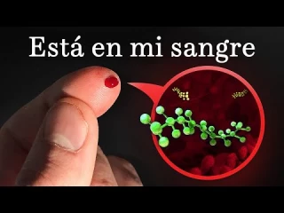más visitadas
