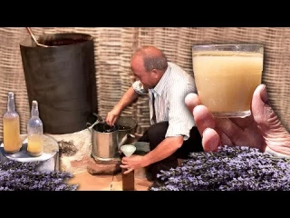 más visitadas