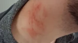 más visitadas