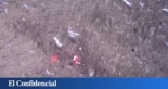 más visitadas