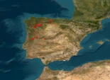 más visitadas