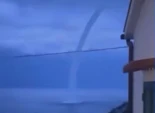 más visitadas