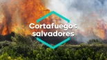 más visitadas