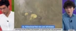 más visitadas