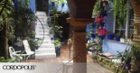 más visitadas