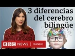 más visitadas