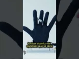 más visitadas