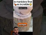 más visitadas