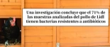 más visitadas