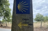 más visitadas