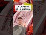 más visitadas
