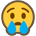 {0x1f622} {0x1f622}